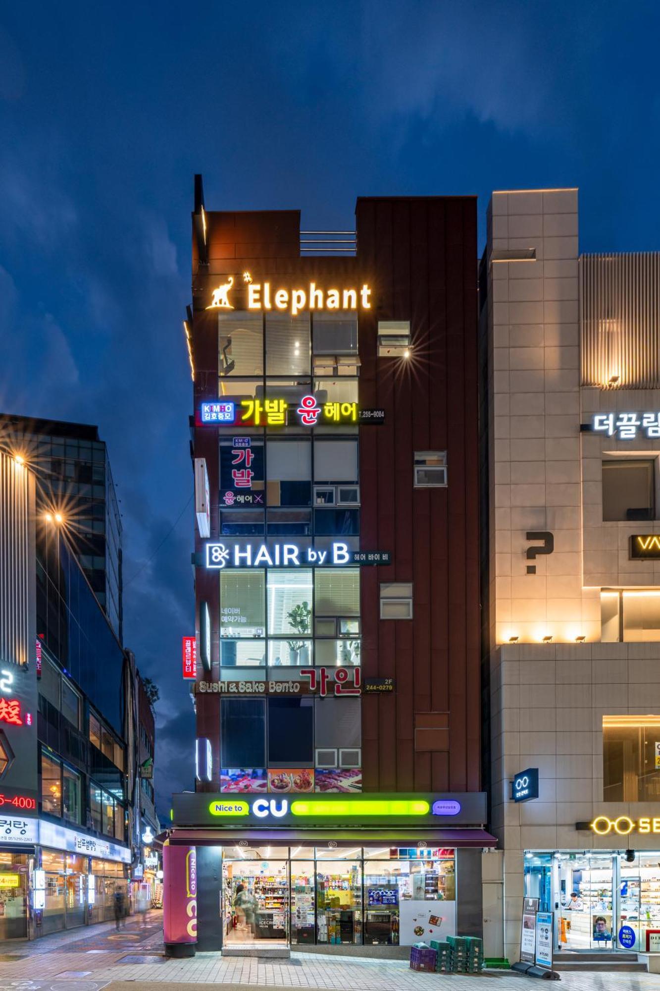 Elephant Ciudad Metropolitana de Ciudad Metropolitana de Busan Exterior foto